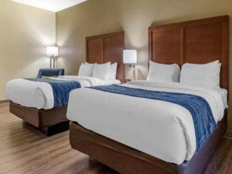 Comfort & High Point - Hotel 2*